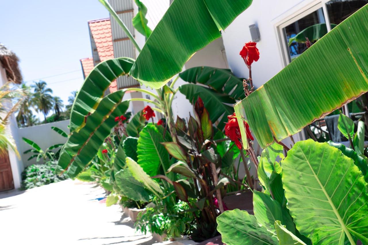 Heart Of Zanzibar Bungalows Paje Dış mekan fotoğraf