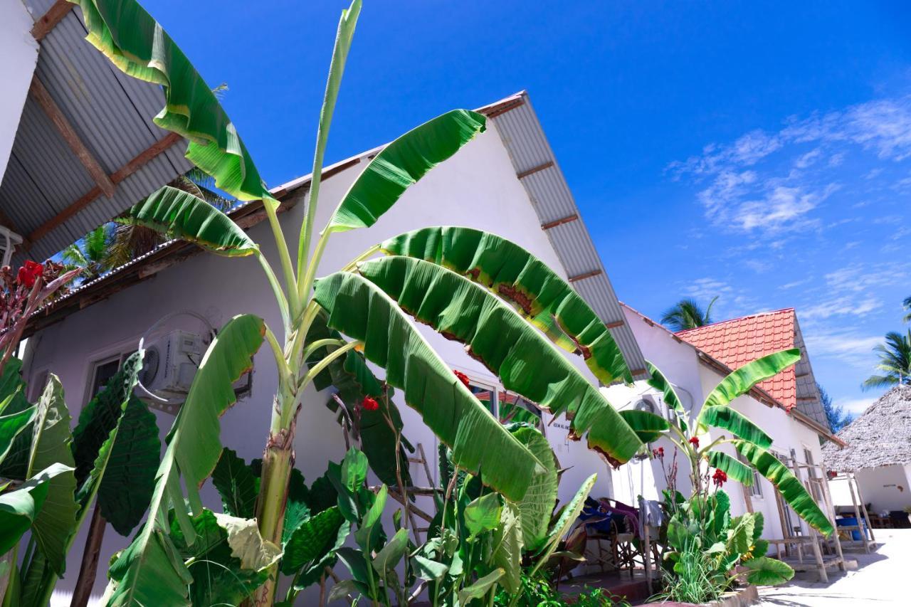 Heart Of Zanzibar Bungalows Paje Dış mekan fotoğraf