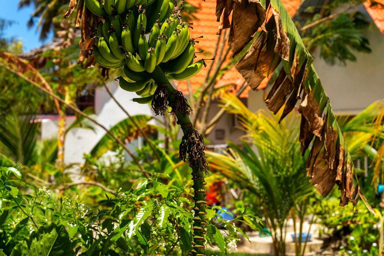 Heart Of Zanzibar Bungalows Paje Dış mekan fotoğraf