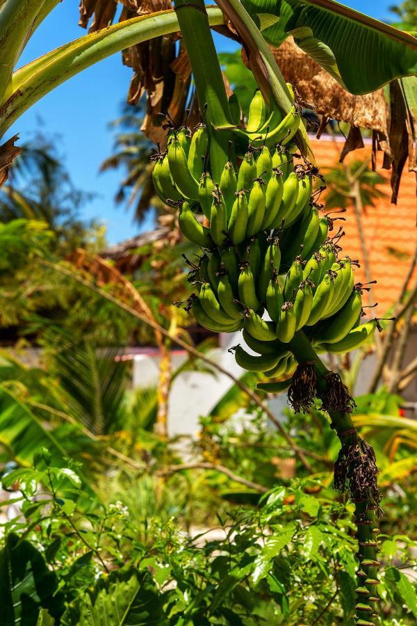 Heart Of Zanzibar Bungalows Paje Dış mekan fotoğraf